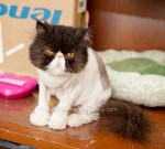 Annie-DSC_9354-cc-web