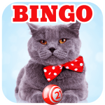 bingo cat