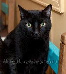 Bubba-DSC_1664-web-wm