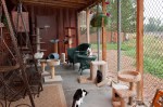 catio