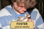Foster-Thumbnail-Web