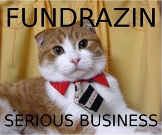 fundraiser-cat