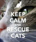 keep-calm-and-rescue-cats-5