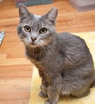 Lizzie-day3-DSC_2304-wmweb