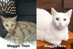 maggie-then-now-web