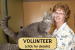 Volunteer-Thumbnail-Web