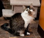 Wyatt-DSC_6734-fuller-web