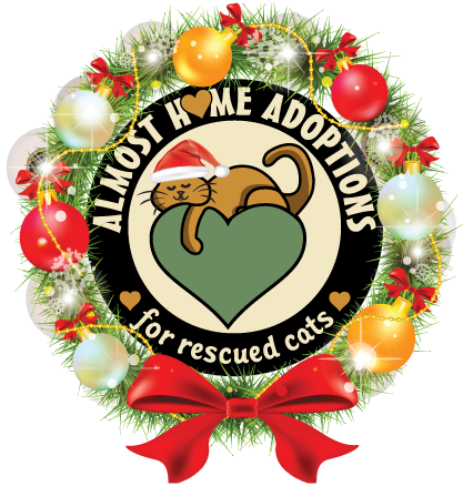 Almost Home Adoptions Christmas-themed logo