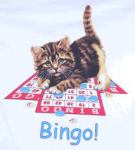 bingocat2