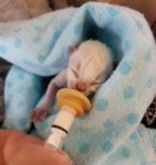 bottle_baby_from_kathleen